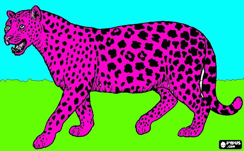 onça pintada das panicat para colorir e imprimir