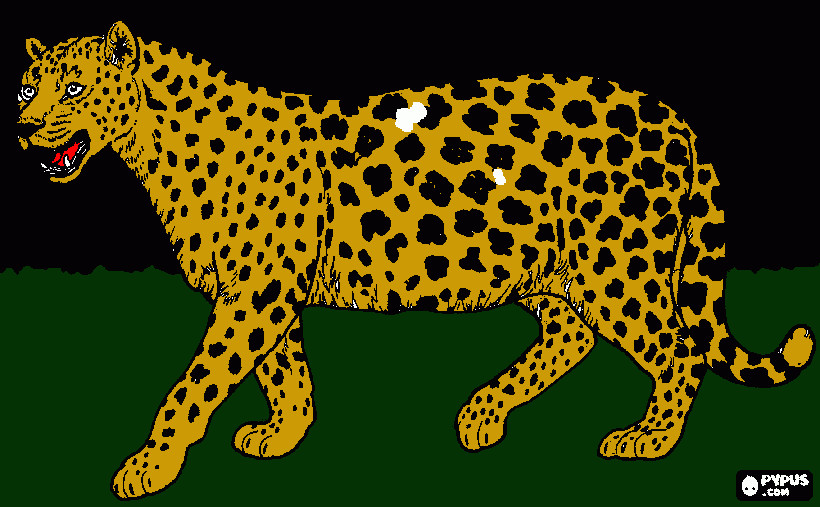 onça vesga para colorir e imprimir