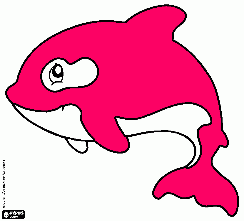 orca para colorir e imprimir
