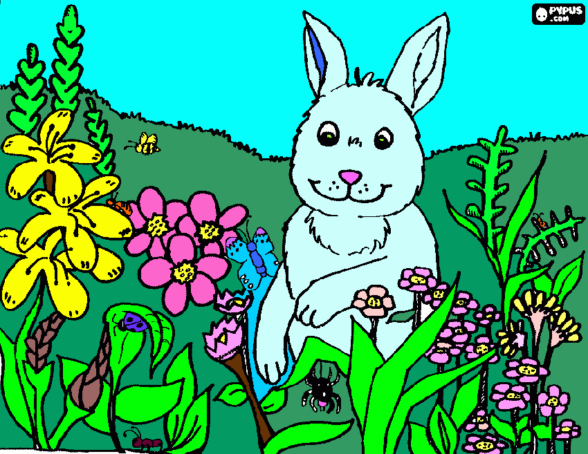 orquitia para colorir e imprimir