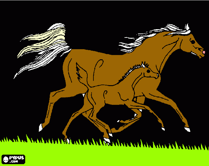 os meus cavalos para colorir e imprimir
