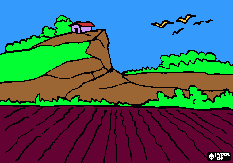 PAISAGEM RURAL COM UM CAMPO para colorir e imprimir