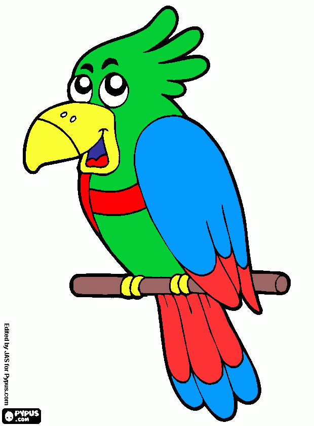 Papagaio para colorir e imprimir