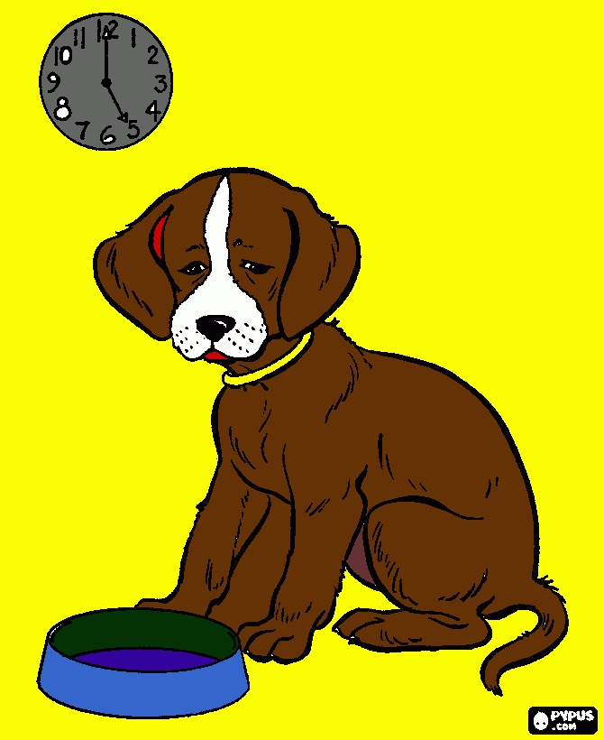 para você lembrar de dar comida para o pupi. para colorir e imprimir