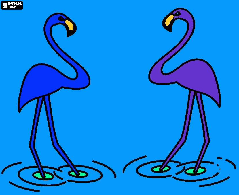 pasaros para colorir e imprimir