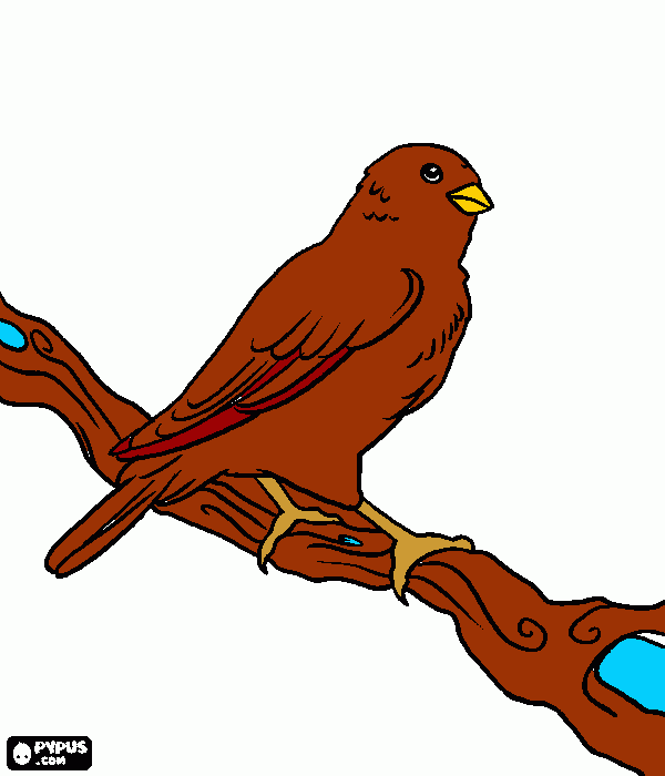 passarinnho para colorir e imprimir