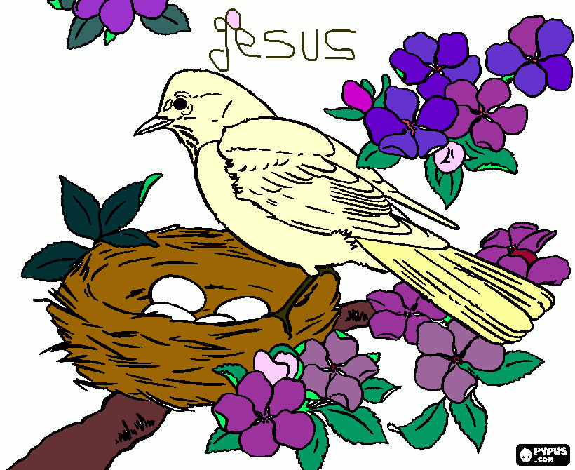 passaro cuidando dos ovos no ninho para colorir e imprimir