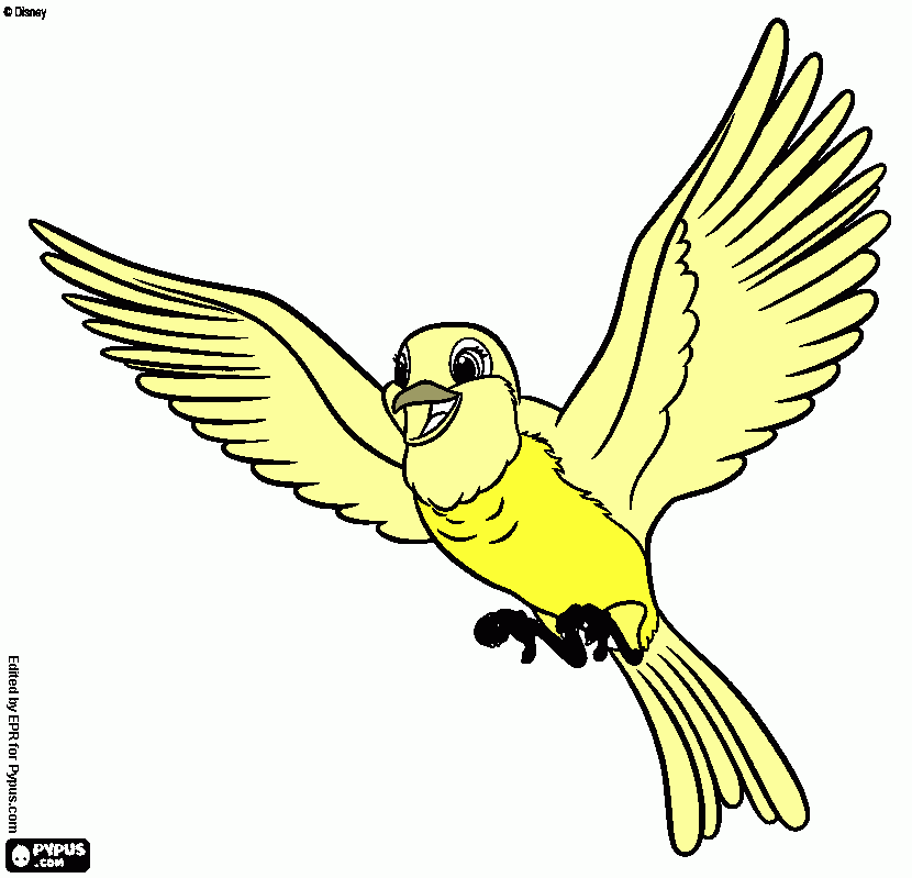 passaro para colorir e imprimir