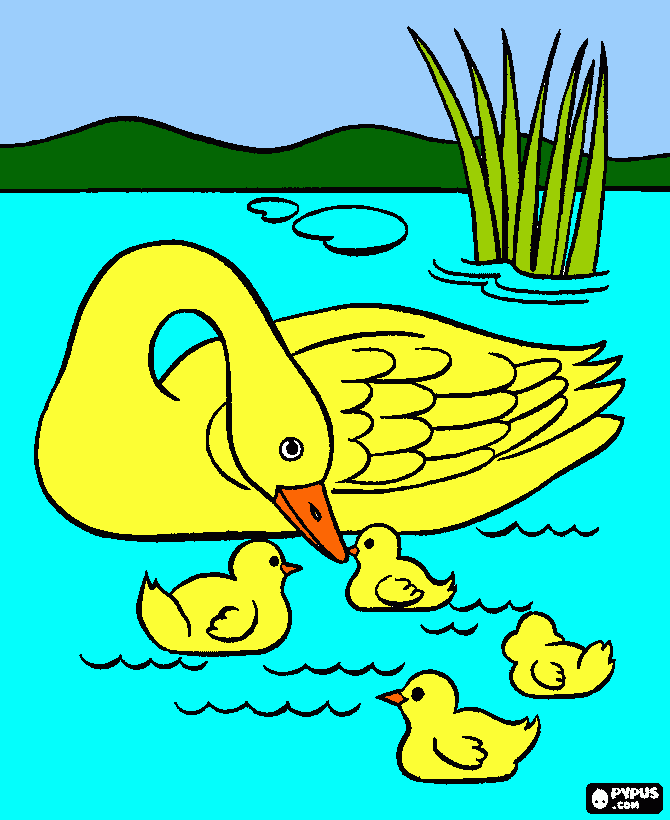 Pata com patinhos para colorir e imprimir