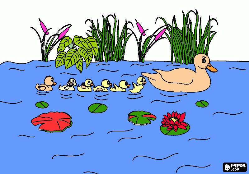 pata e filhotes para colorir e imprimir