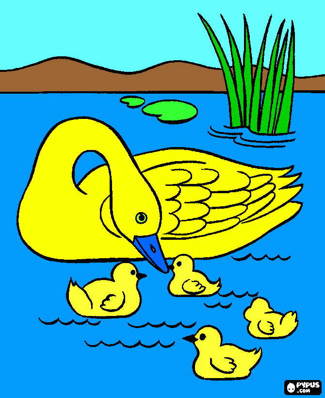 pato no lago para colorir e imprimir