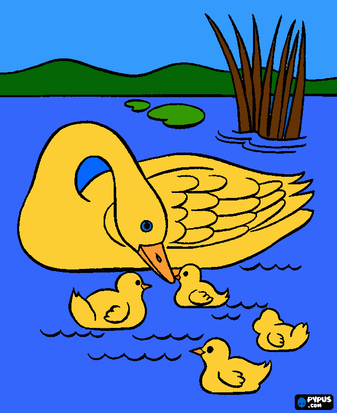 Patos para colorir e imprimir