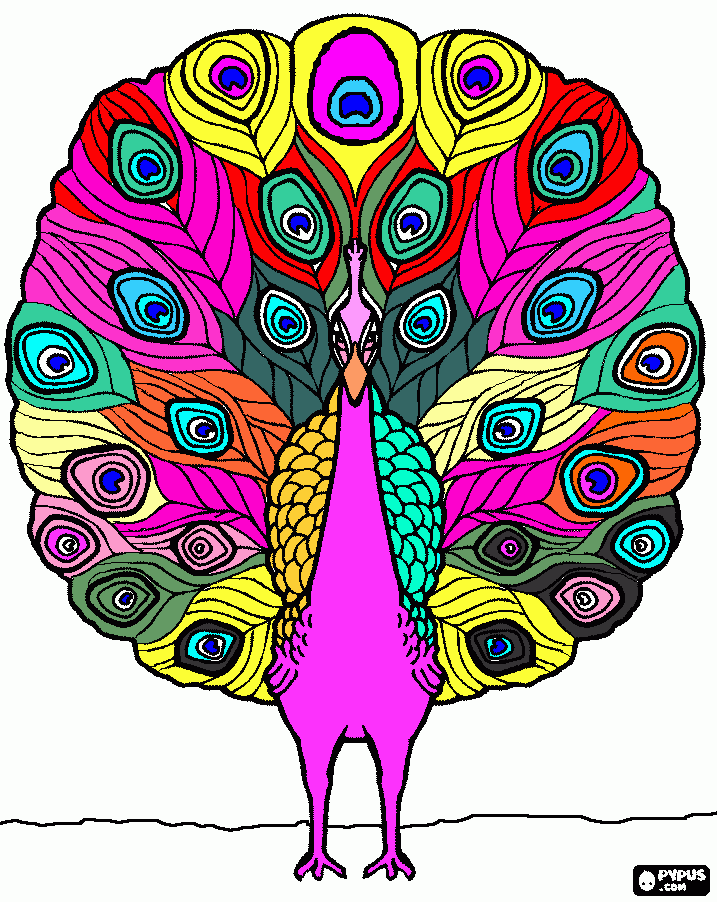 Pavao misterioso para colorir e imprimir