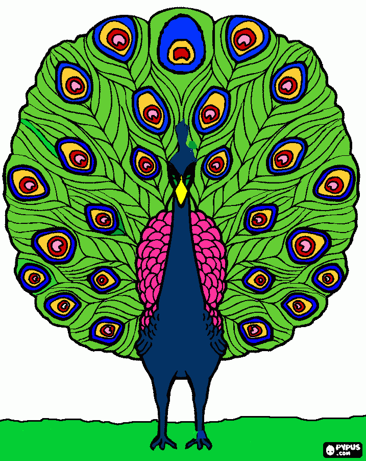 pavão da festa no ceu para colorir e imprimir