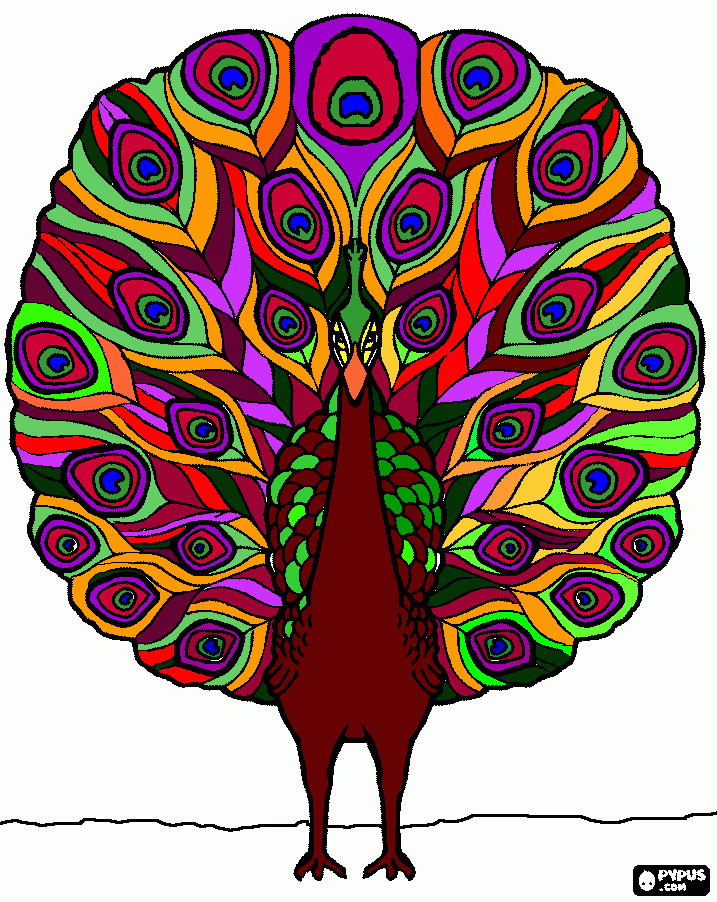 Pavão pintado por mim para colorir e imprimir