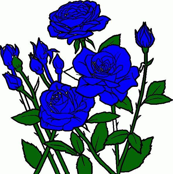 pe de rosa para colorir e imprimir