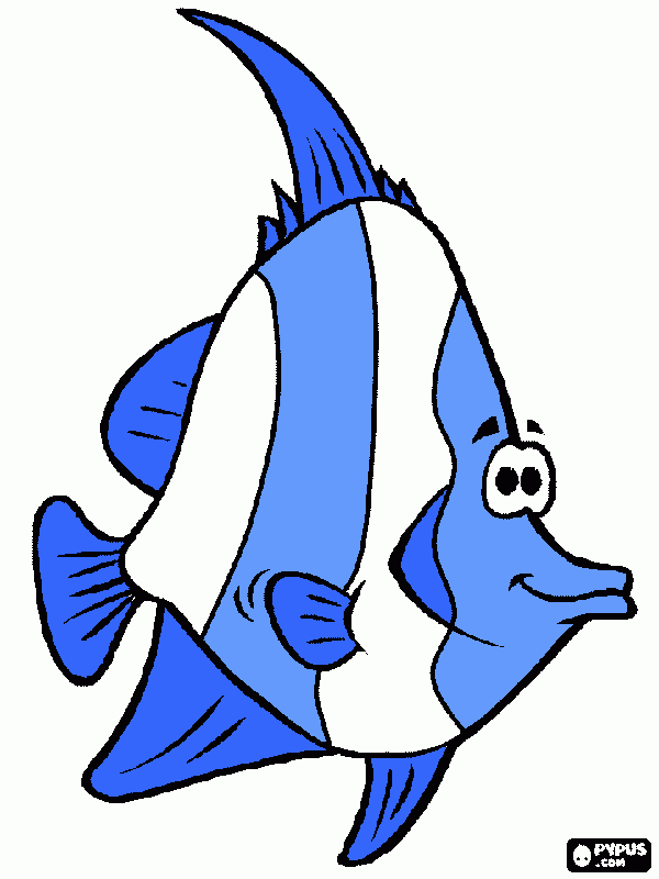 peixe acara para colorir e imprimir