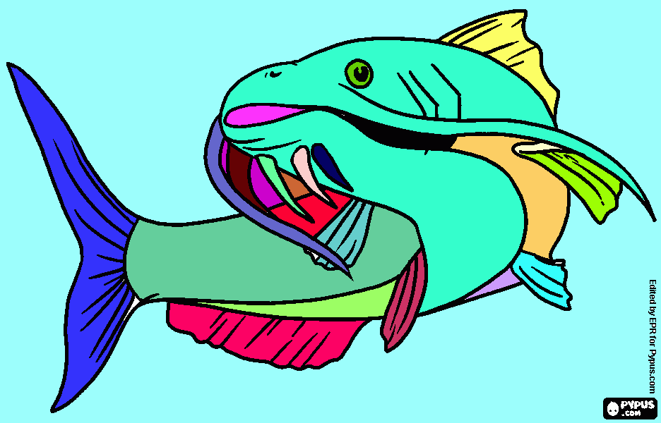 peixe bagre para colorir e imprimir