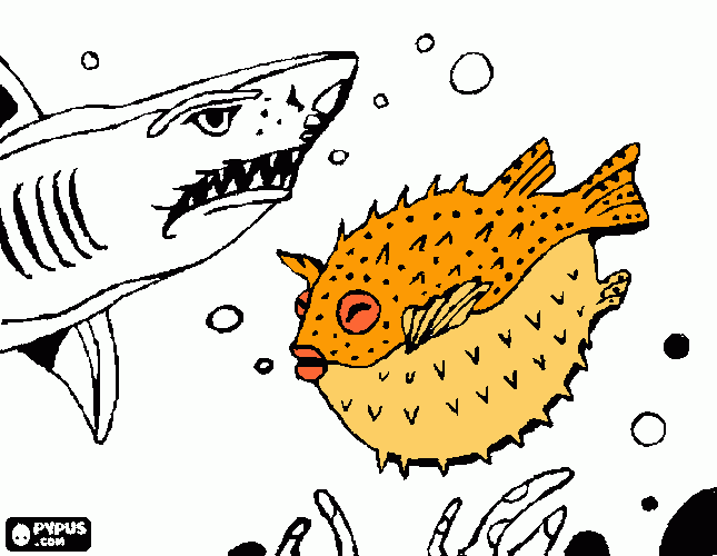 peixe espinho para colorir e imprimir