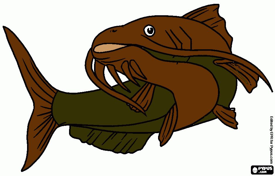 peixe molde para colorir e imprimir