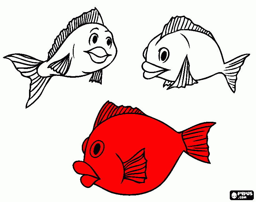 peixe vermelho para colorir e imprimir