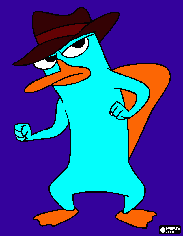 perry ornitorri para imprimir desenho perry ornitorri