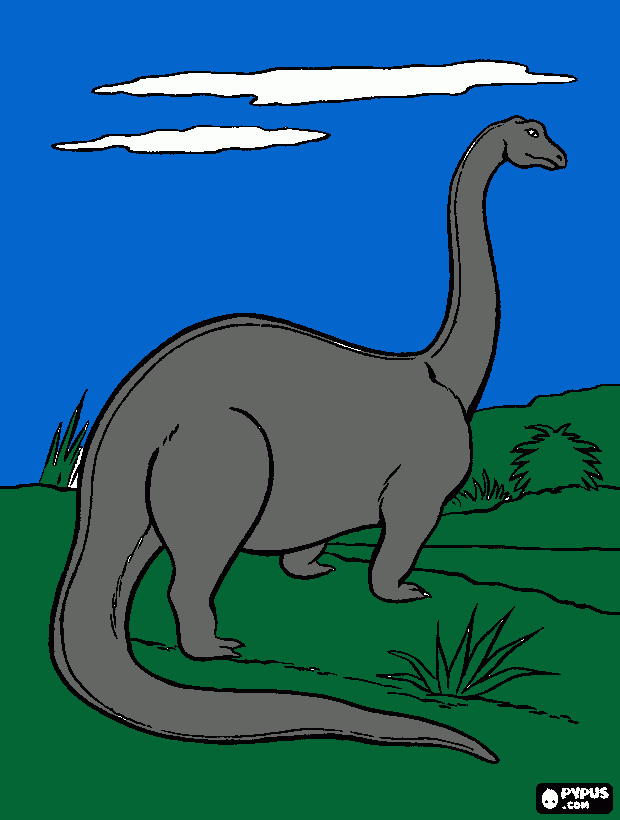 pescossudo para colorir e imprimir