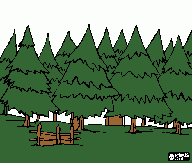 pinheiros para colorir e imprimir