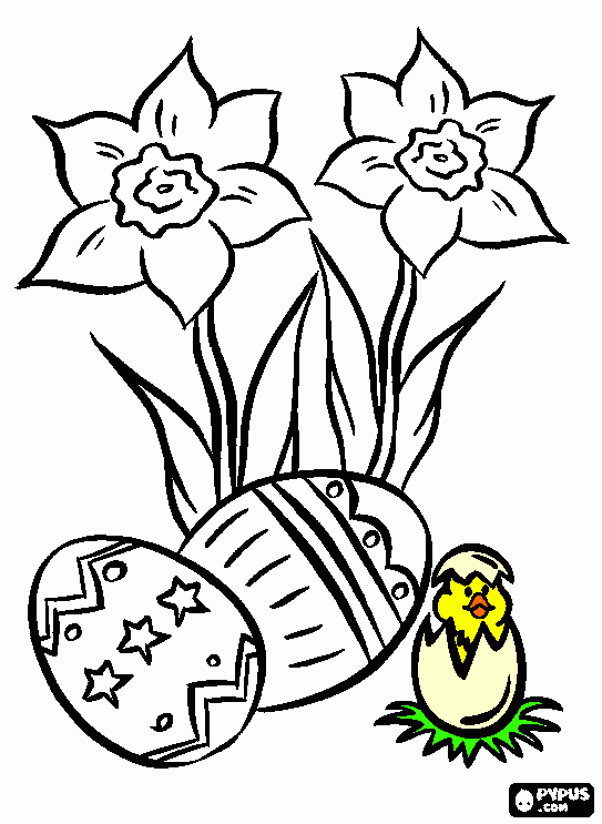 pintinho no ovo para colorir e imprimir