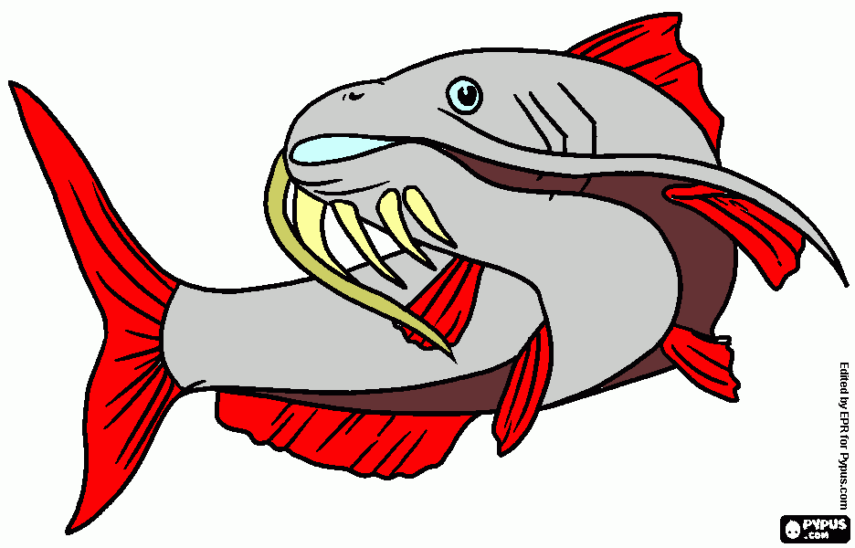 pirarara para colorir e imprimir