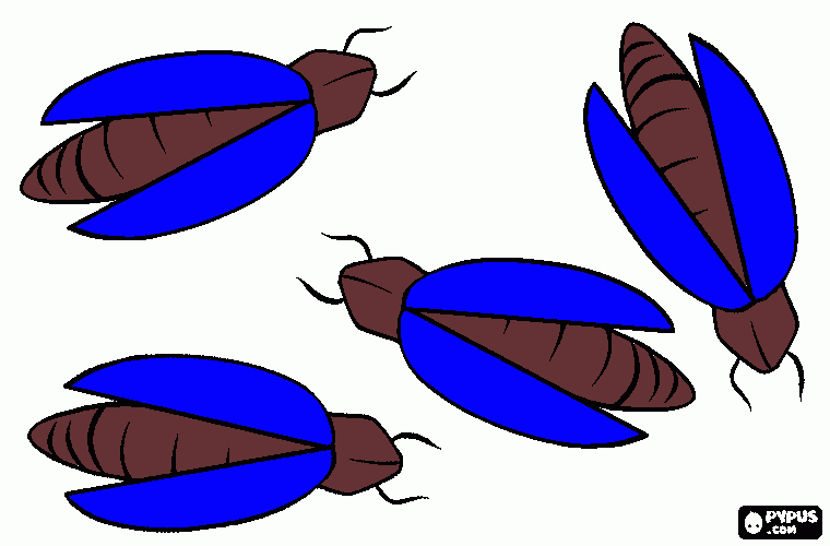 pirilampo para colorir e imprimir