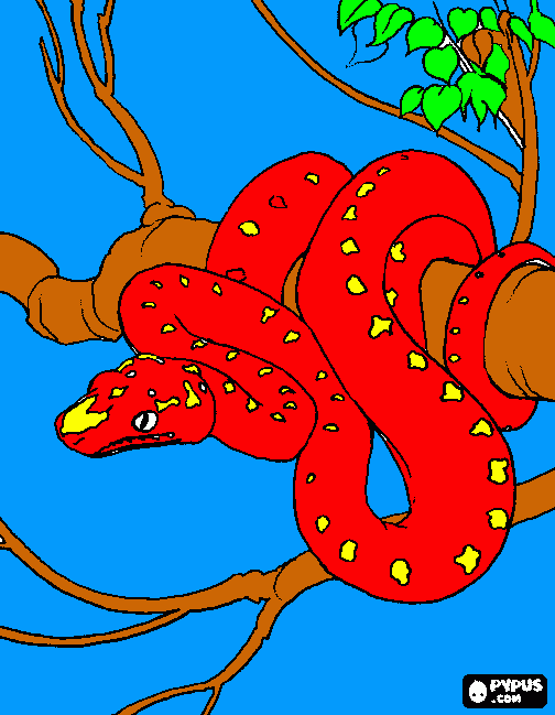 PITON  GIGANTE para colorir e imprimir