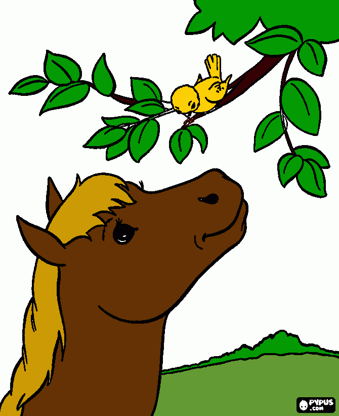 pocotó para colorir e imprimir