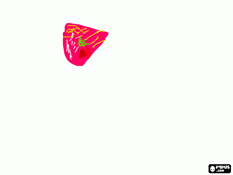 prato de comida para colorir e imprimir