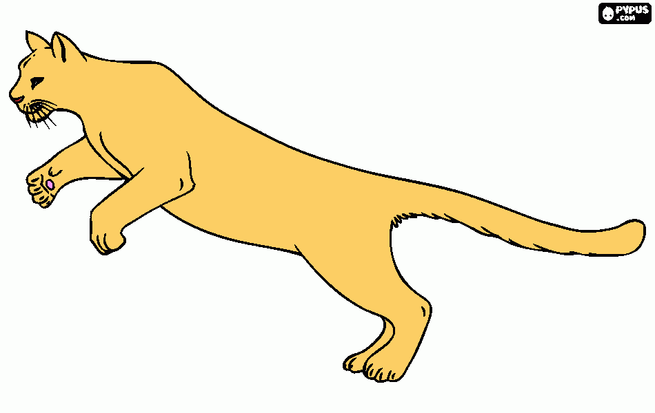 Puma que atacou o boo para colorir e imprimir