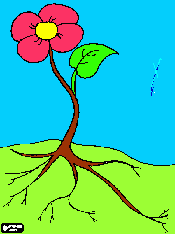 raiz flor para colorir e imprimir