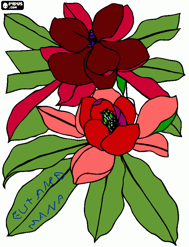 rascunho de uma  flor p/  você.. para colorir e imprimir