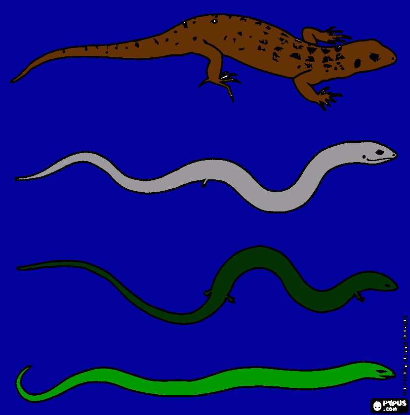 reptes para colorir e imprimir