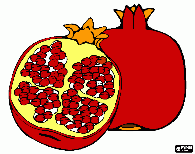 romã para colorir e imprimir