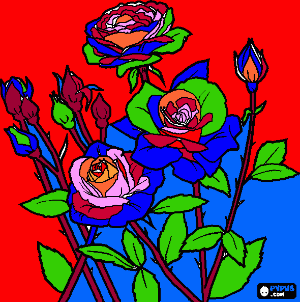 rosas coloridas para colorir e imprimir