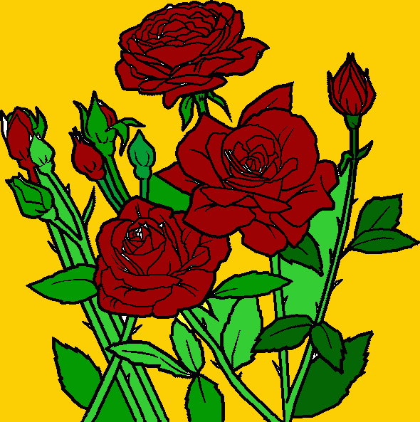 rosas vermelhas para imprimir , desenho rosas vermelhas