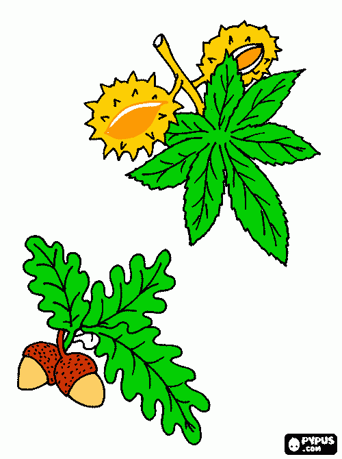 S. Martinho para colorir e imprimir