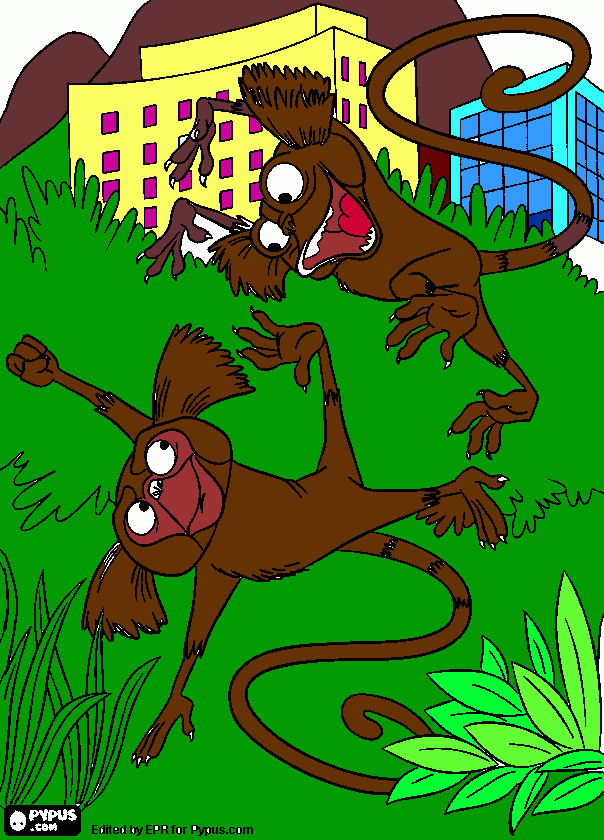 sagui do filme rio  para colorir e imprimir