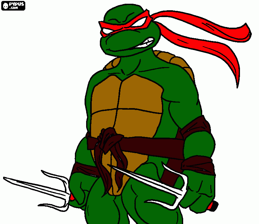 samuel __tartarugas para colorir e imprimir