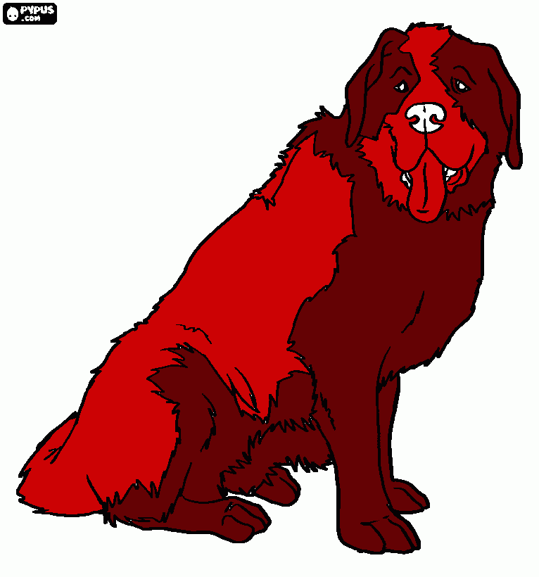 san bernado para colorir e imprimir