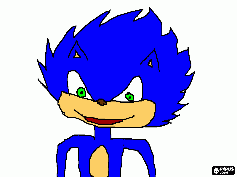 sonic do pagaruai para colorir e imprimir