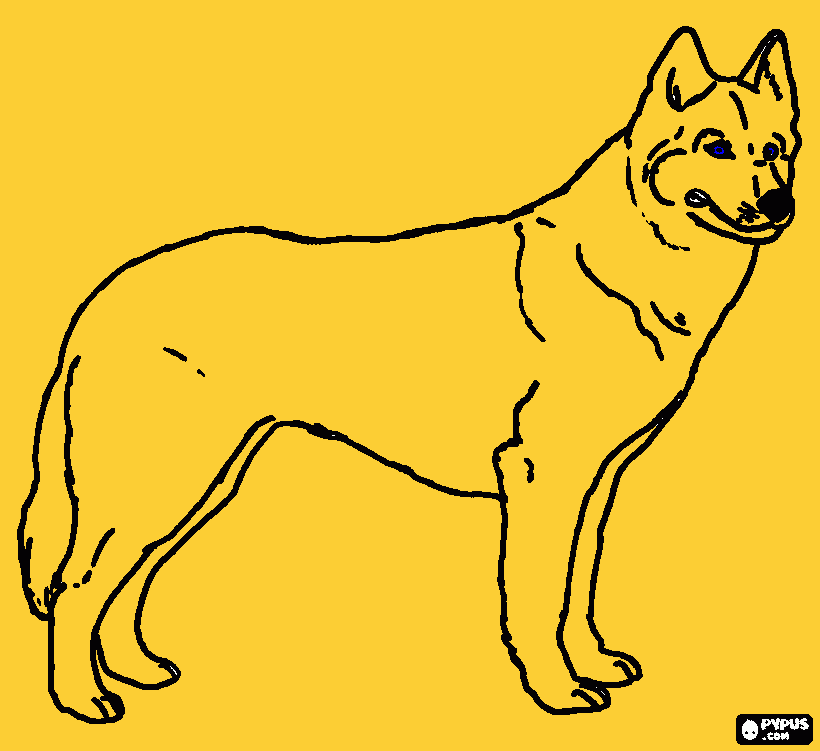 spike para colorir e imprimir