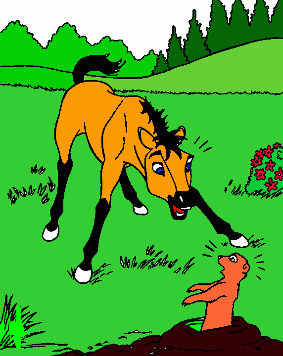 Spirit o corseu indomavel para colorir e imprimir