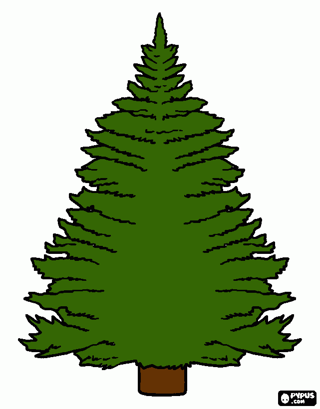 Taiga para colorir e imprimir