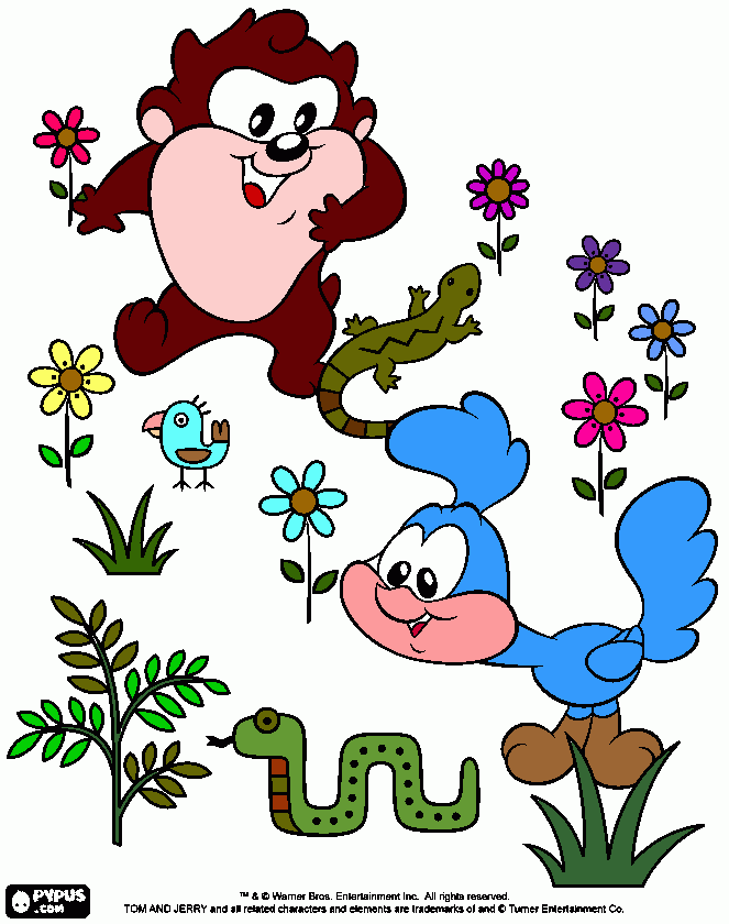 tais mania para colorir e imprimir